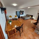 Rent 7 bedroom apartment of 1000 m² in Torrent