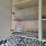 Rent 3 bedroom apartment of 80 m² in Torino