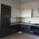 Rent 4 bedroom house of 85 m² in Bologna