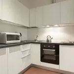 Rent 1 bedroom apartment in bologna