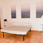 Rent 4 bedroom apartment of 115 m² in Rome