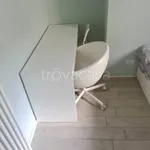 Rent 2 bedroom apartment of 70 m² in Torino