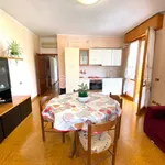 Rent 3 bedroom apartment of 90 m² in Riccione