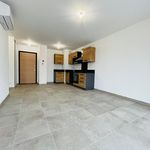 Rent 2 bedroom apartment of 45 m² in lucciana
