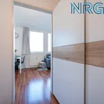 Rent 1 bedroom apartment of 28 m² in Prague