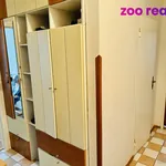 Rent 2 bedroom apartment in České Budějovice