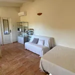 Rent 1 bedroom apartment of 36 m² in Marseille