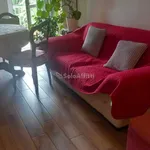 Rent 2 bedroom apartment of 65 m² in Turin