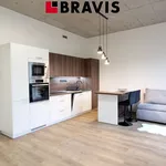 Rent 1 bedroom apartment of 35 m² in Brno