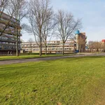 Rent 1 bedroom apartment of 15 m² in 3813JJ Amersfoort