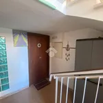 Rent 2 bedroom apartment of 55 m² in Terracina