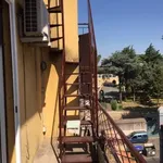 Rent 1 bedroom apartment of 38 m² in Roma