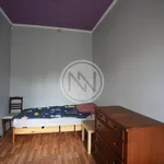 Rent 20 bedroom house of 500 m² in Włocławek