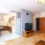 Rent 3 bedroom apartment of 55 m² in Wałbrzych