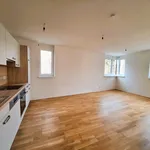 Rent 2 bedroom apartment of 47 m² in Graz