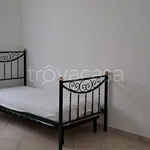 Rent 4 bedroom apartment of 130 m² in Brindisi