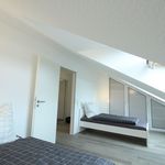 Bright, beautiful flat located in Hilden, Hilden - Amsterdam Apartments for Rent