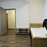 Rent 1 bedroom apartment of 35 m² in Uherské Hradiště