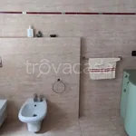 Rent 2 bedroom apartment of 45 m² in Bologna