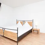 Rent 1 bedroom apartment of 20 m² in Zürich