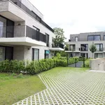 Rent 2 bedroom apartment in Bornem