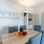 Rent 3 bedroom apartment in porto