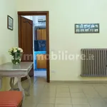 Rent 3 bedroom apartment of 90 m² in Viterbo