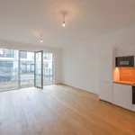 Rent 3 bedroom house of 101 m² in Vienna