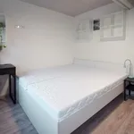 Pronajměte si 3 ložnic/e byt o rozloze 31 m² v Brno