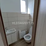 Pronajměte si 3 ložnic/e byt o rozloze 63 m² v Capital City of Prague