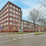 Rent 3 bedroom apartment of 90 m² in AMSTERDAM