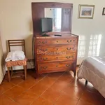 Rent 2 bedroom apartment of 40 m² in Siena