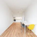 Rent 2 bedroom apartment of 55 m² in Prague