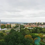 Rent 1 bedroom apartment in Praha 8