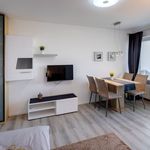 Rent 1 bedroom apartment of 29 m² in Munich