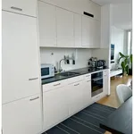 Rent 2 bedroom apartment in Zurich