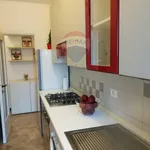 Rent 2 bedroom apartment of 60 m² in Milano