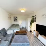 Rent 1 bedroom apartment of 40 m² in Chemnitz