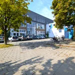 Rent 2 bedroom apartment of 56 m² in Gorechtbuurt