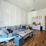 Rent 3 bedroom apartment of 56 m² in České Budějovice