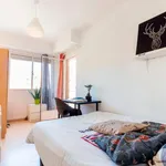 Alquilar 4 dormitorio apartamento en Valencia