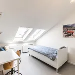 Rent 4 bedroom apartment in Prague