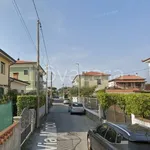 Appartamento in affitto a Camaiore via Mincio, giardino privato, parzialmente arredato, libero subito - TrovaCasa