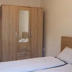 Rent 1 bedroom apartment of 43 m² in Brno