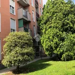 Rent 1 bedroom apartment of 50 m² in Monza