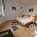 Miete 1 Schlafzimmer wohnung von 50 m² in Nuremberg