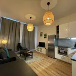 Rent 1 bedroom apartment of 40 m² in Prague