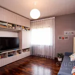 Rent 3 bedroom apartment of 80 m² in Pistoia