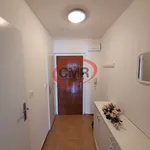 Rent 1 bedroom apartment of 31 m² in Capital City of Prague