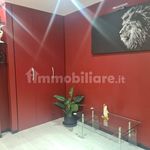 Rent 3 bedroom apartment of 100 m² in Parma